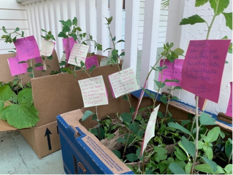 “COVID Community Get-to-know-you Gardens”