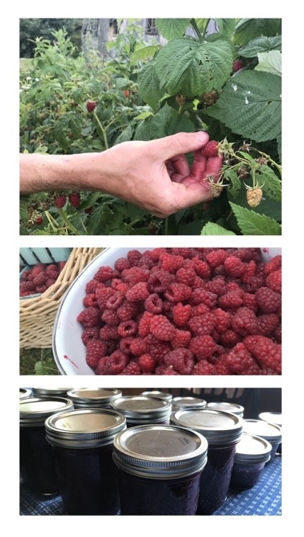 “Berry Time”