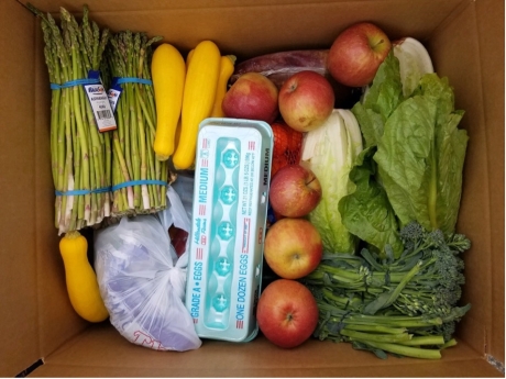 “Fresh Food Box”